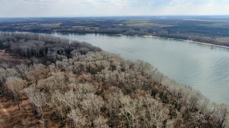 Danube from Mossy Earth project
